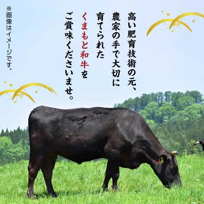 【12回定期便】くまもと黒毛和牛 ステーキ食べ比べ ヒレステーキ×4枚 サーロインステーキ×4枚【馬刺しの郷 民守】熊本 霜降り ヒレ サーロイン ステーキセット [ZBL115]