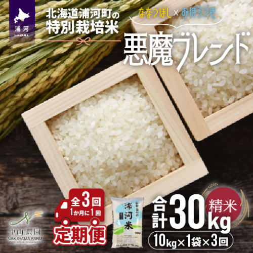 北海道浦河町の特別栽培米「悪魔ブレンド」精米(10kg×1袋)定期便(全3回)[37-1222]