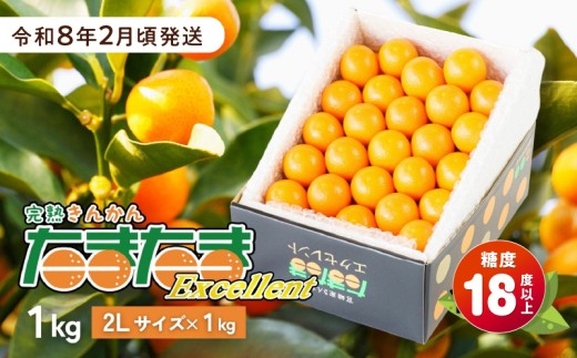 完熟きんかん たまたまエクセレント 1kg | 果物 フルーツ デザート スイーツ きんかん きんかんたまたま 完熟 宮崎県産 国産 宮崎産 贈答 贈り物 ギフト プレゼント ブランド 柑橘 柑橘系 柑橘類 おやつ グルメ お取り寄せ 宮崎県 高千穂町 |_Tk004-051