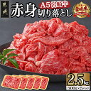 【ふるさと納税】宮崎牛(A5)赤身切り落とし 2.5kg - 都城産 宮崎牛 A5ランク/A5等級 赤身切り落とし 500g×5p 赤身 送料無料 DI-0102 【宮崎県都城市は2年連続ふるさと納税日本一！】