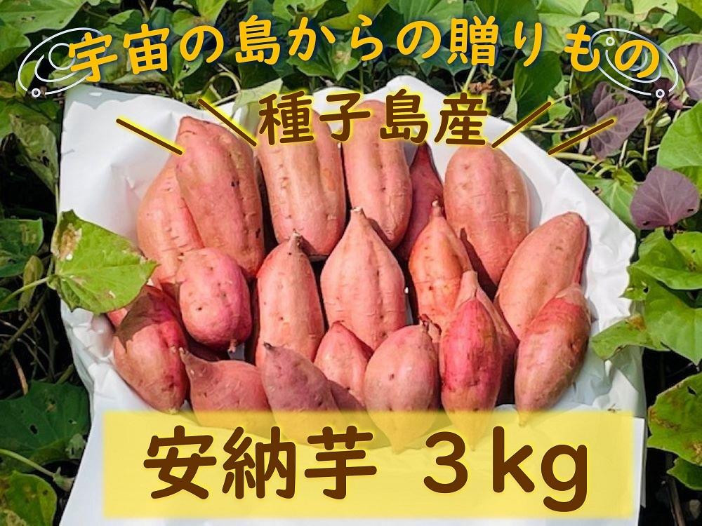 
＜先行予約＞【種子島安納】種子島産安納芋3kg【焼き芋 焼芋 芋 いも やきいも さつまいも さつま芋 熟成 蜜 しっとり 甘い 安納いも 国産 鹿児島県産 種子島産 中種子町 送料無料 N161】
