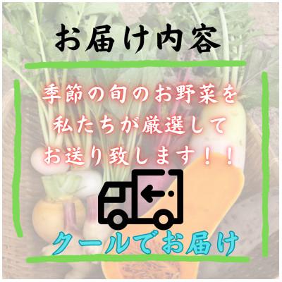 ふるさと納税 西桂町 【発送月固定定期便】新鮮野菜!農家厳選の旬のお野菜セット約5〜8種類を約3kg〜5kg全2回 |  | 03