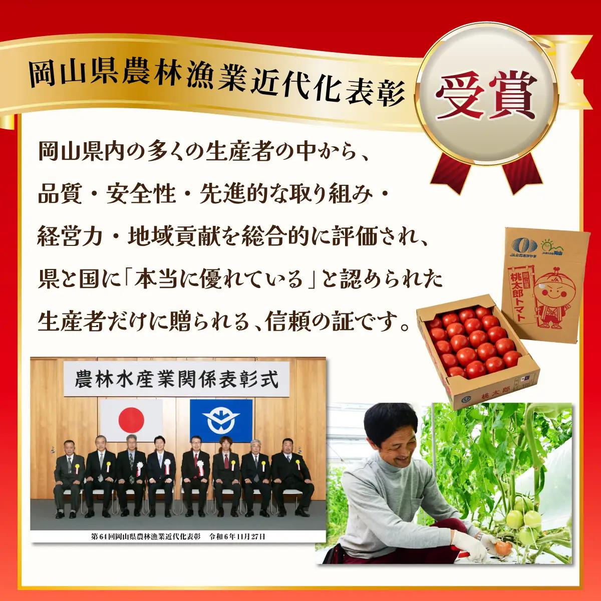 【先行予約】桃太郎トマト　3.5kg～4kg　2L(20玉)～L(24玉)