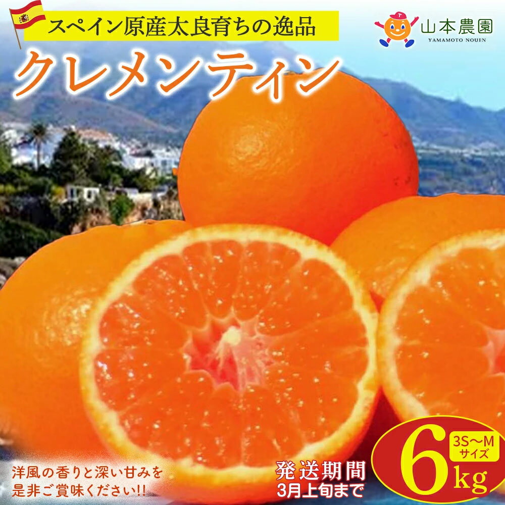 【ふるさと納税】 山本農園のクレメンティン 6kg （3kg×2箱） 【2026年3月上旬迄順次発送予定】 クレメンティン 希少 ヨーロッパ生まれ スペイン原産 太良みかん みかん ミカン 蜜柑 フルーツ くだもの 果物 太良町 国産 甘い 美味しい 佐賀県 太良町 送料無料 NC9x1