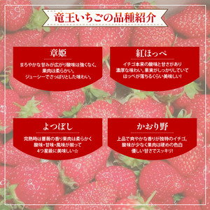 【4ヶ月定期便】竜王 いちご 食べ比べ 定期便