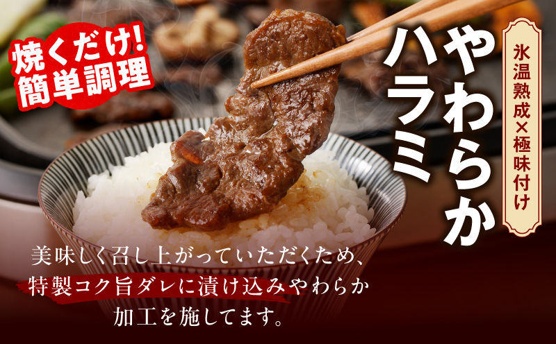 2025年 焼肉 福袋 4種 2kg【氷温熟成×特製ダレ 500g 小分け 牛肉 牛タン ヒレ ハラミ バラ 数量限定】