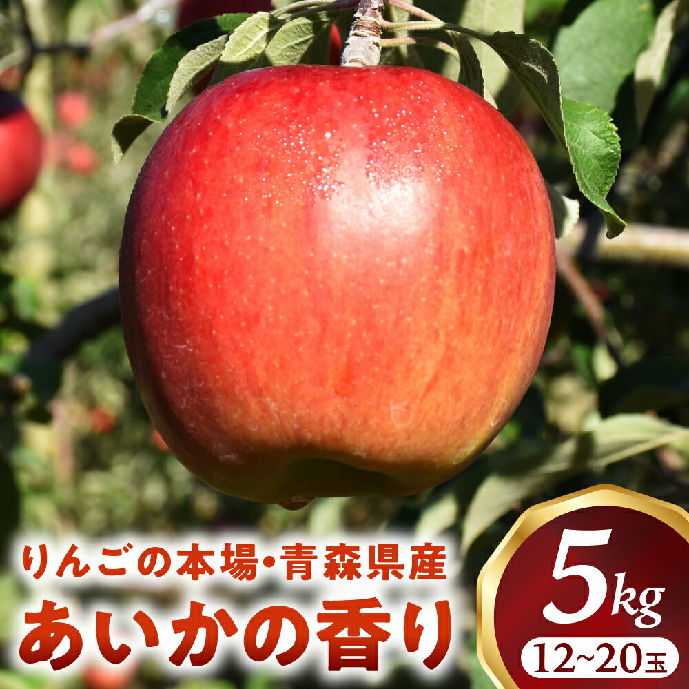 【2023 先行予約】 青森りんご あいかの香り 12～18玉 約5kg | 11月中旬以降発送予定 りんご 林檎 フルーツ 果物 果実 青森 青森県 青森県産 三戸 三戸町 高級 贈答 ギフト プレゼント 産地直送 農家直送 ふるさと納税 ふるさと 送料無料