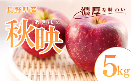 秋映　5kg　りんご リンゴ 林檎 果物 フルーツ 長野
