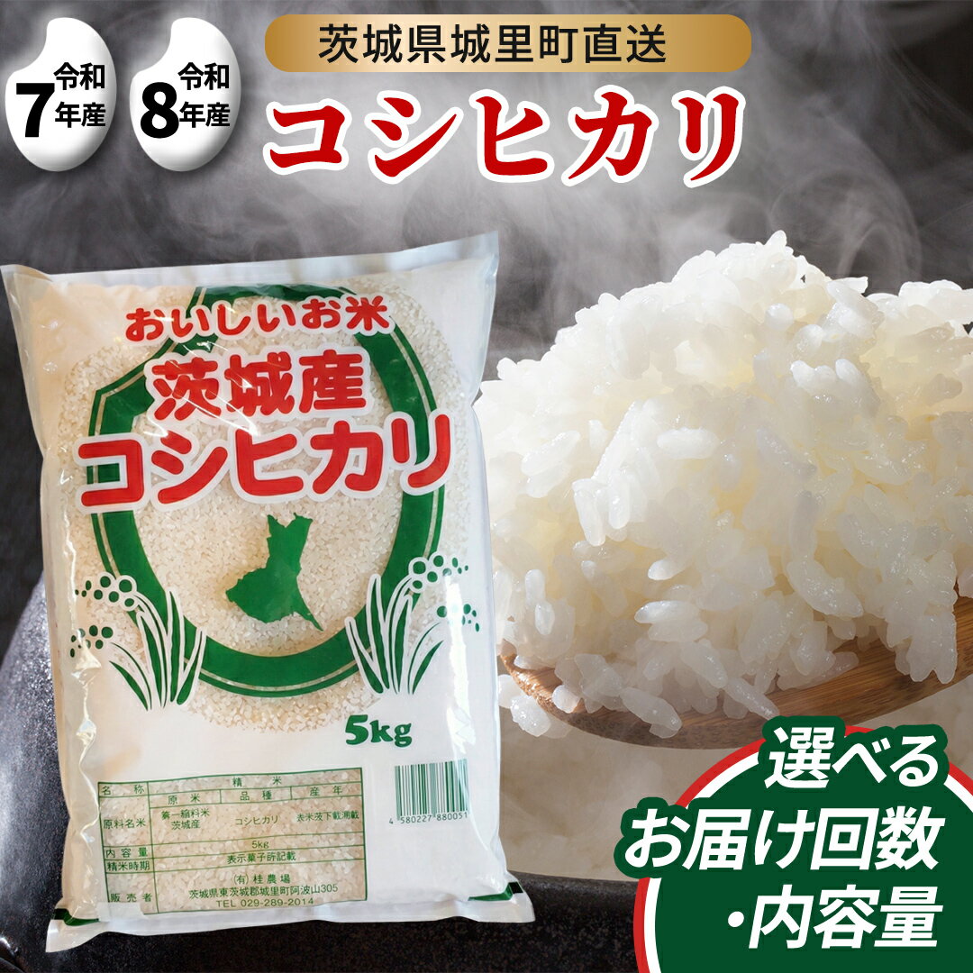 【ふるさと納税】コシヒカリ 精米 5kg 10kg 定期便 令和7年産 令和8年産 新米 先行予約 スピード発送 こしひかり 5キロ 10キロ 米 ご飯 ご飯 コメ