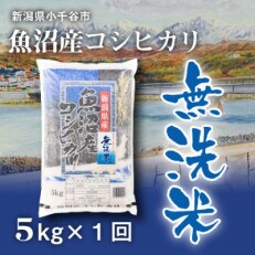 魚沼産コシヒカリ無洗米(精米)5kg