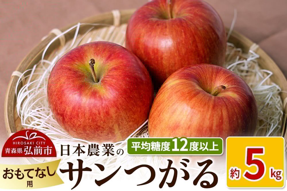 
            りんご 【先行受付】平均糖度12度以上！ サンつがる 約5kg おもてなし用 クール便
          