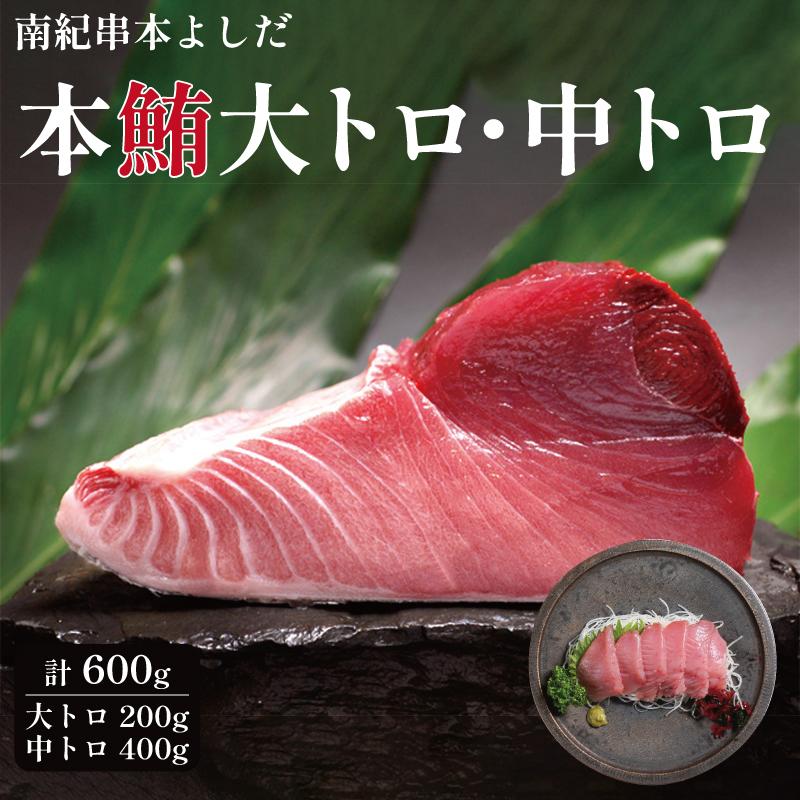 【ふるさと納税】南紀串本よしだ 本鮪 大トロ サク 200g 中トロ サク 400gセット | まぐろ マグロ 鮪 魚 お魚 さかな 食品 人気 おすすめ 送料無料 年末年始 お祝い ギフト
