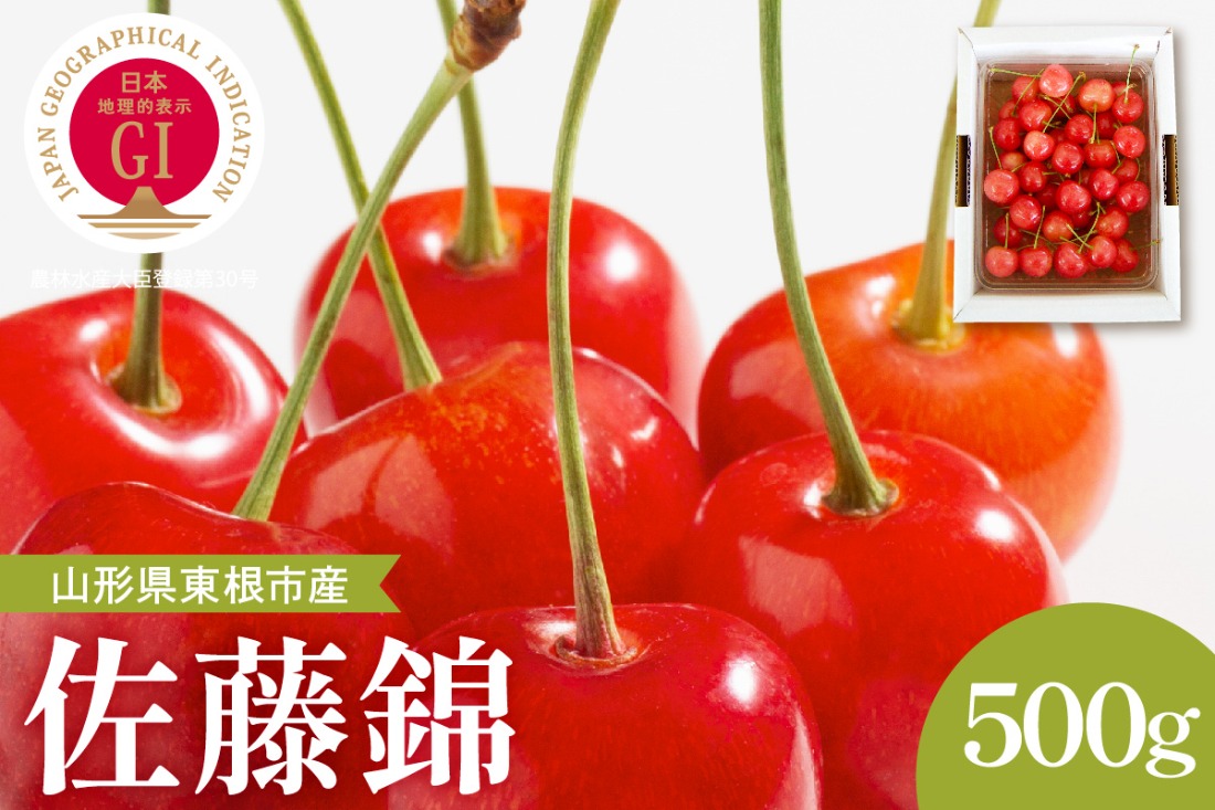 【2026年産】GI東根さくらんぼ「佐藤錦」秀品 500gバラ詰め (500g×1パック) Lサイズ以上 安達農園提供 山形県 東根市 hi037-014