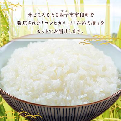 ふるさと納税 西予市 <令和7年産 西予市宇和町産 特別栽培米コシヒカリ・ひめの凜 食べ比べセット各5kg |  | 01