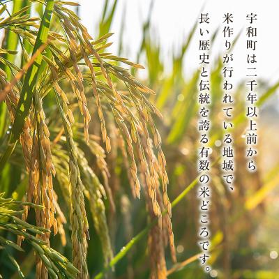 ふるさと納税 西予市 <令和8年産愛媛県西予市産 コシヒカリ 5kg>国産 愛媛県産 宇和町産 宇和米 こしひかり |  | 03