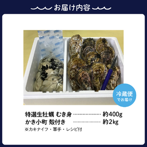 【2025年2月下旬発送】丸十水産 生牡蠣 特選むき身 400g 殻付き かき小町 約2kg (10～14個) セット 生食可能 生食用 冷蔵便 国産 特選 生牡蠣 音戸産 牡蠣 カキ 旨味 濃厚 新