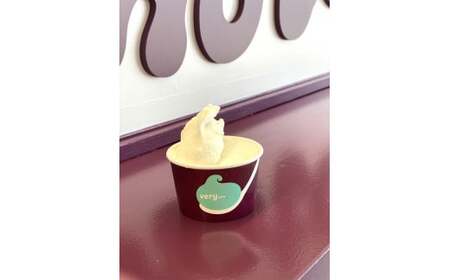 落葉樹色のジェラート 4リットル(カムイミンタルの塩（ソルト）) 業務用 《厚真町》【株式会社クーバル】[AXBQ006]