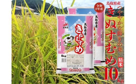 359M.鳥取県産きぬむすめ◇精米10kg◇令和8年産