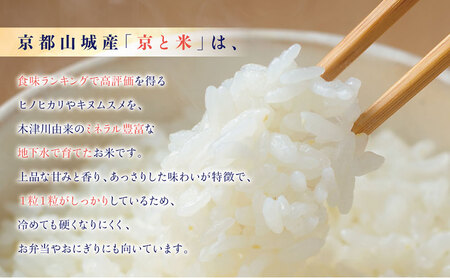 BG無洗米 京都山城産 京と米 金芽米 10kg R7年度産 ヒノヒカリ お米 米 ごはん おにぎり おいしい お弁当 健康 玄米の栄養 無洗米 節水 時短 東洋ライス 京都府 京田辺市 ヒノヒカリ 