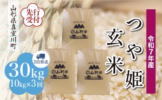 ＜令和7年産米先行受付＞ 真室川町産 特別栽培米 つや姫 【玄米】 30kg定期便 （10kg×3回発送）＜配送時期指定可＞