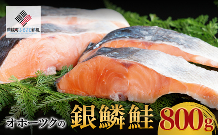 オホーツク海の銀鱗鮭【配送不可地域：離島】 鮭 BHRI006