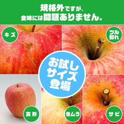 【ふるさと納税】訳ありりんご「早生ふじ」に、お試しサイズ3kgが登場!!【配送不可地域：離島】【1748542】