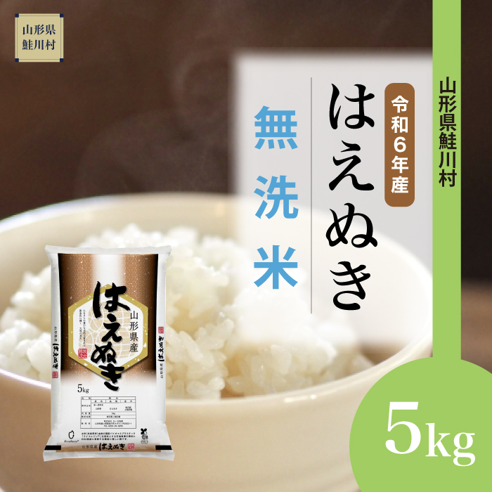 ＜令和6年産米 配送時期指定できます！＞　はえぬき 【無洗米】 5kg （5kg×1袋） 鮭川村