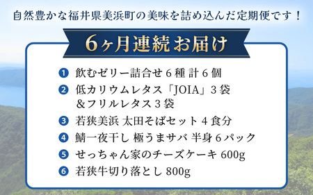 美浜のお楽しみ定期便！ 計6回 若狭牛 チーズケーキ 焼き魚 無菌室レタス そば 飲むゼリー 等 ≪ 6ヶ月連続お届け≫ JOIA 蕎麦 鯖 干物[m60-e001]