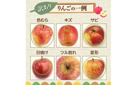 【2024年11月下旬以降発送】訳あり りんご（ふじ）3kg_Y010-0107