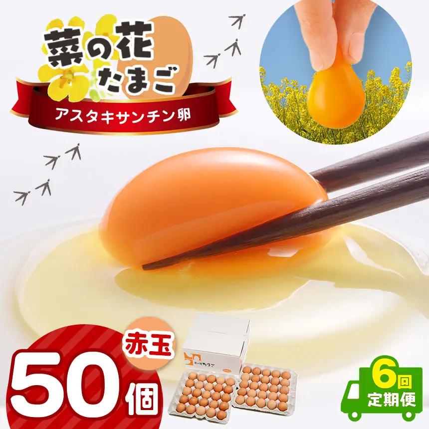【全6回 定期便】赤玉アスタキサンチン卵 50個｜たまご 玉子 菜の花エッグ 自社農場 定期便 すぐ発送 常温 抗酸化 健康 新鮮 卵かけご飯 ギフト 君津養鶏場直送｜千葉県 君津市