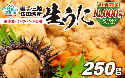うに ウニ 無添加 国産  生うに 250g ミョウバン不使用　塩水パック 獲れたて直送【2026年発送先行予約品】【 岩手 陸前高田 ムラサキウニ  三陸産  天然 濃厚 高評価   】  RT2560