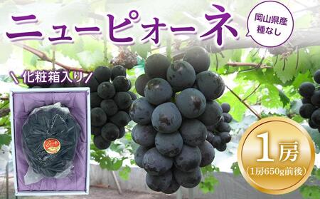ぶどう 2026年 ニュー ピオーネ 1房（1房約600g前後）産地直送 ぶどう ピオーネ