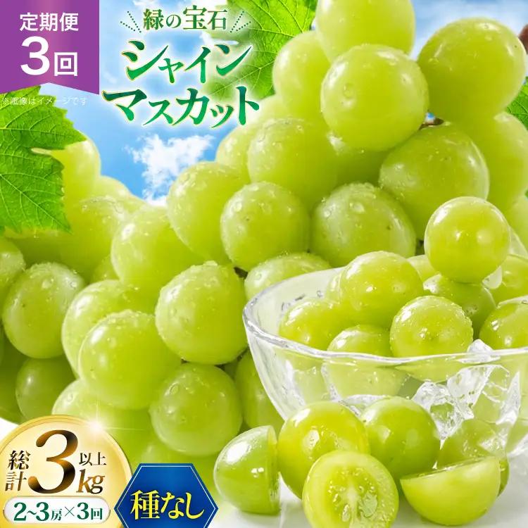 【シャインマスカット】 シャインマスカット 先行予約 1kg 以上 (2～3房) 3回 定期便 総計 3kg 【2026年発送】