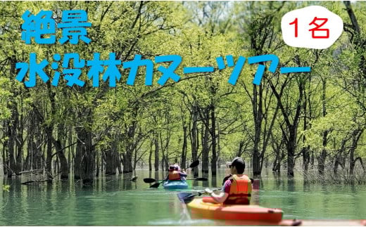 絶景 水没林カヌーツアー（1名様）※3月下旬から5月下旬　