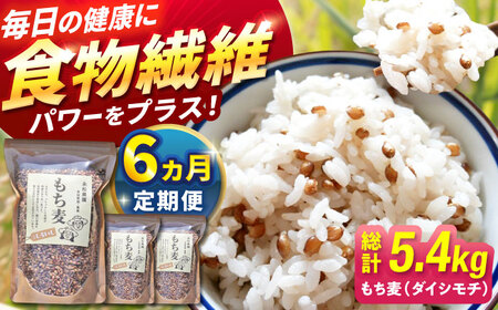 【6回定期便】白石産もち麦900g 計5.4kg / もち麦 [IAA035]