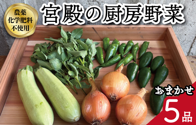 宮殿の厨房野菜 六月農園 おまかせ 5品 セット 野菜 セット 産地直送 おまかせ 季節の野菜 旬 詰め合わせ 人気 限定 有機栽培 オーガニック 明和町 国産 リピート
