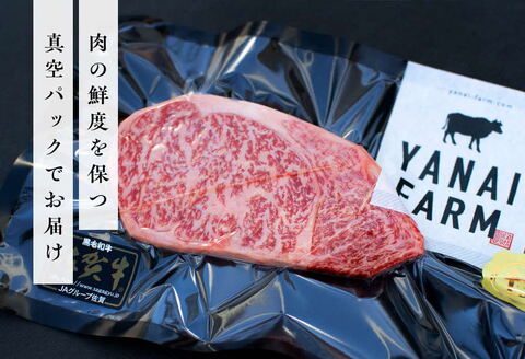 《佐賀牛》「梁井」霜降りロースステーキ 3枚 600g【佐賀牛 霜降り肉 ロース肉 サシ ステーキ 肉汁 とろける やわらか 美味しい ブランド肉】 C-A081011