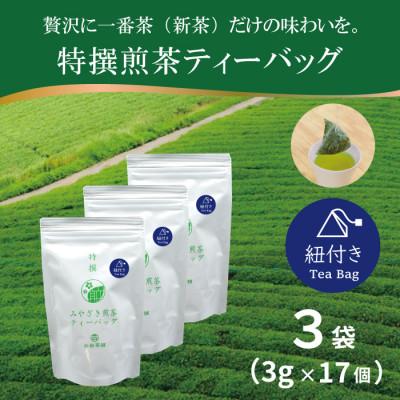 ふるさと納税 日向市 特撰みやざき煎茶ティーバッグ(紐付き)3袋