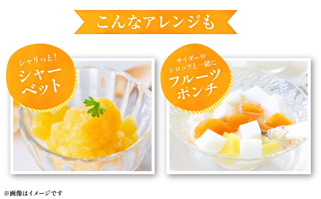 【先行予約】 八代市 東陽産 EC12みかん 2kg以上入り(8玉～20玉)  柑橘 ミカン くだもの 果物 フルーツ デザート 【2025年11月下旬より順次発送】