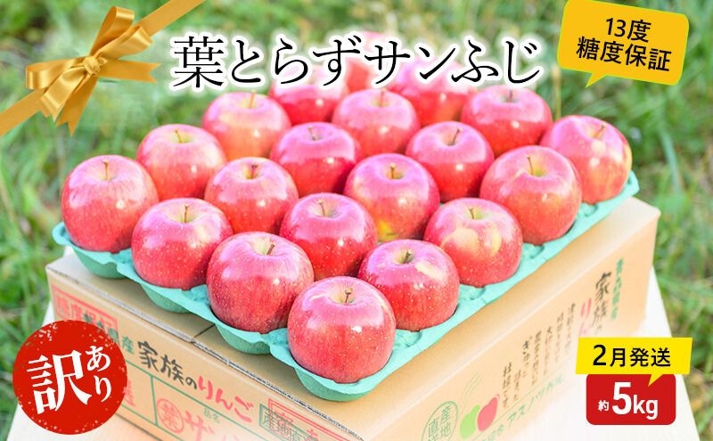 
                  【 2月発送 】糖度13度以上 訳あり品 家庭用 葉とらず サンふじ 約 5kg 【 青森りんご 】 果物 フルーツ 食後 デザート 青森県産 産地直送
                