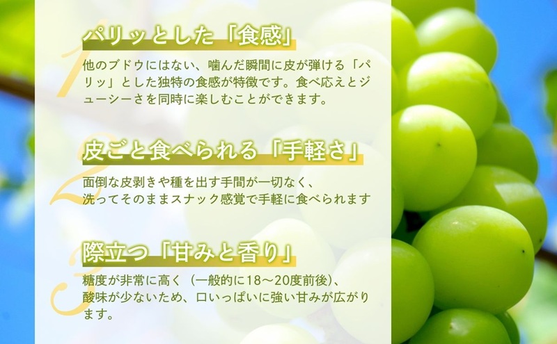 シャインマスカット　1kg 贈答用 信州 フルーツ 果物　ぶどう ブドウ 葡萄 マスカット くだもの  旬の果物 旬のフルーツ 信州産 長野県産 長野 長野県 上田市