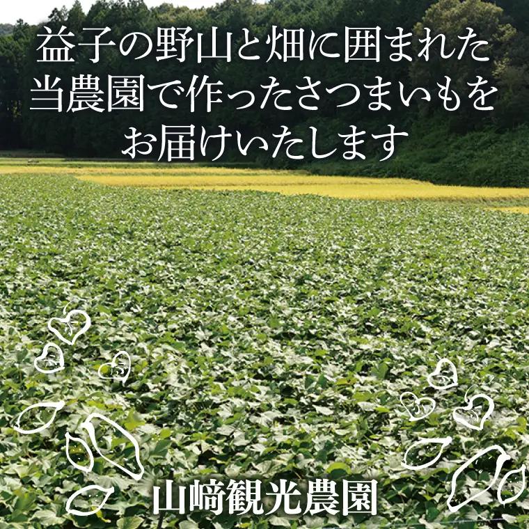 さつまいも 6kg 栗かぐや 益子町 AU016