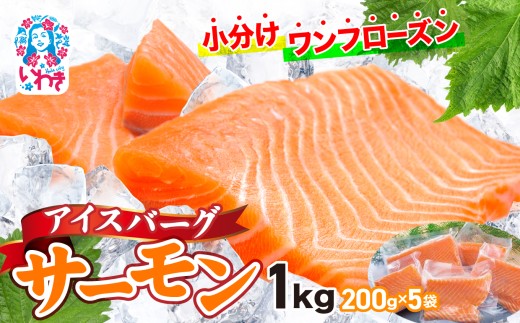 アイスバーグサーモン（アトランティックサーモン）　約1kg（約200g×5袋） ｜ 刺身 フィレ 個包装 冷凍 さけ サケ 生食サーモン 鮭 魚 海鮮 手巻き寿司 海鮮丼 人気 おすすめ ノルウェー産 ｜