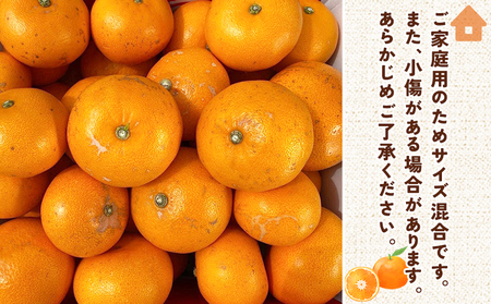 ＜せとか（家庭用）約1.2kg＋300g＞ 自宅用 訳あり ワケアリ 果物 くだもの フルーツ ミカン みかん セトカ 蜜柑 高級柑橘 柑橘の大トロ 柑橘 特産品 笑丸 愛媛県 西予市 常温『2027