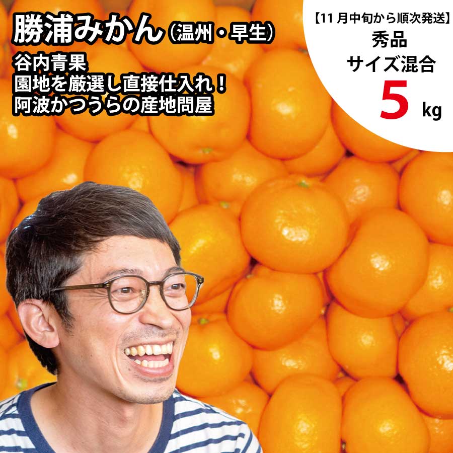 【ふるさと納税】谷内青果 早生みかん 秀品 サイズ混合 5kg