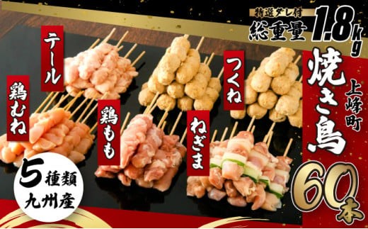 
                  絶品！九州産焼鳥 5種盛合せ 60本（タレ付き） 焼鳥 C-627
                