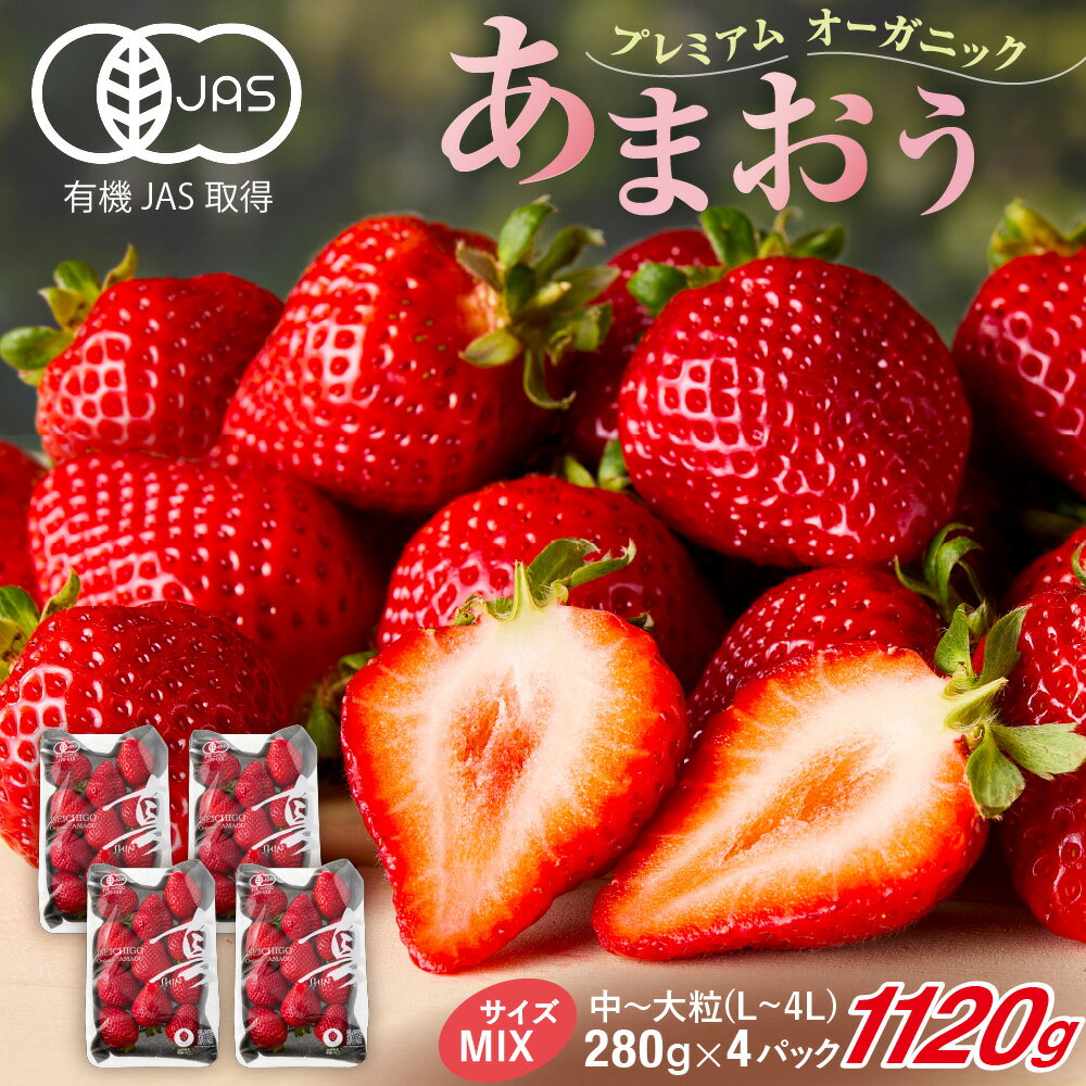 【ふるさと納税】【先行予約】オーガニックあまおう 「いせいちご」 おまかせ4パック（MIX）【伊世いちご畑】_HA1018　送料無料苺 イチゴ フルーツ 化学農薬不使用 化学肥料不使用 冷蔵 ご褒美 おやつ 朝食 デザート