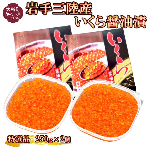 【ふるさと納税】【2025年2月より発送】岩手三陸産 大粒 いくら醤油漬 250g×2個【配送日指定不可】