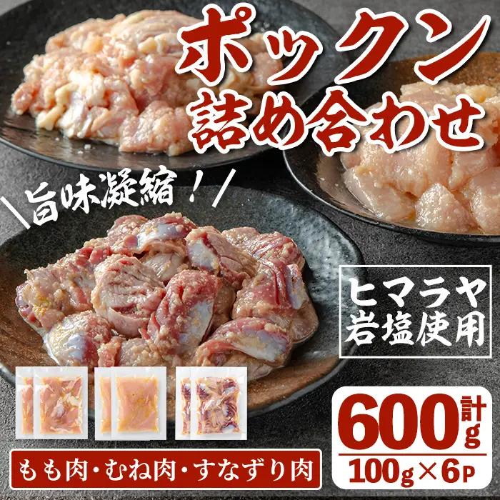 i1038 南国元気鶏のポックン詰め合わせ〈ガーリックソルト〉(合計600g・100g×各2P) ポックン 南国元気鶏 鶏肉 とり 腿肉 胸肉 砂ずり にんにく 岩塩 ピンクソルト おかず おつまみ 惣菜 焼くだけ 冷凍 【慶尚園】