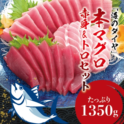 プレミア和歌山認証品 本マグロ（養殖）トロ＆赤身セット 1,350g まぐろ 刺身 鮪 本鮪 クロマグロ 赤身 中とろ 大容量 まぐろたたき まぐろ丼